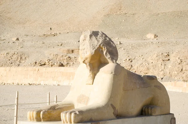 Λούξορ Αίγυπτος Σφίγγα Κοντά Στο Νεκροταφείο Ναός Hatshepsut — Φωτογραφία Αρχείου