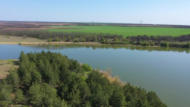 Teich Und Grüne Frühlingsfelder Luftaufnahme — Stockvideo