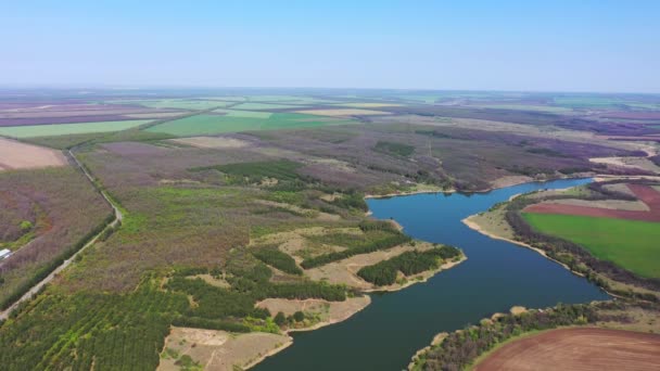 Vista Aérea Lago Floresta Campos Agrícolas São Visíveis Horizonte Primavera — Vídeo de Stock
