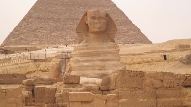 Grande Esfinge Gizé Colossal Estátua Pedra Calcária Uma Esfinge Reclinada — Vídeo de Stock