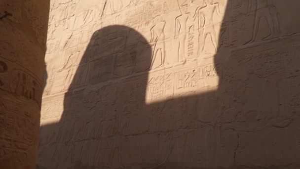 エジプト美術 エジプト ルクソールのカルナック神殿複合体の壁に古代エジプトの象形文字 — ストック動画