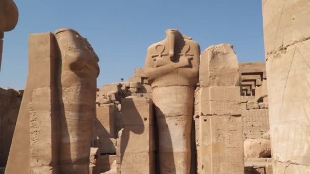 Скульптури Ієрогліфи Стінах Храму Карнаці Єгипет Луксор — стокове відео
