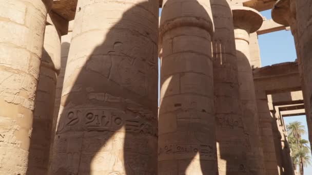 Colunas Arquitetônicas Hieróglifos Complexo Templo Karnak Egito Luxor — Vídeo de Stock