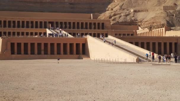 Luxor Egito Janeiro 2020 Templo Mortuário Hatshepsut Também Conhecido Como — Vídeo de Stock