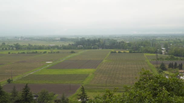 Vista Superior Los Campos Agrícolas Georgia Nublado Valle Alazani — Vídeo de stock