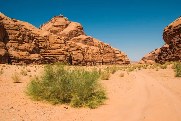 Wadi Rum paisaje del desierto, Valle de la Luna, Jordania Oriente Medio. Patrimonio Mundial de la UNESCO. Aventura concepto exótico . —  Fotos de Stock