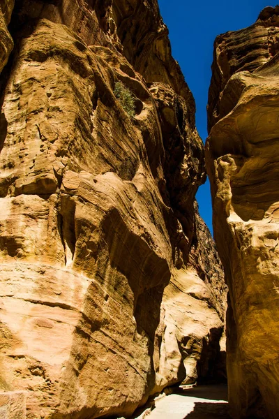 La entrada principal Siq a la antigua ciudad de Nabatea Petra, Jordania. Estrecha ranura de piedra arenisca-cañón es pasadizo natural a la ciudad oculta. Patrimonio de la Humanidad UNESCO —  Fotos de Stock