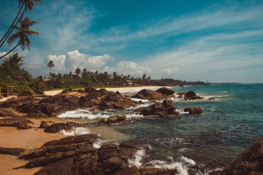 Sahil, Hint Okyanusu taşlar ve Hindistan cevizi palmiye ağaçları. Tatil tropikal tatil arka plan. Vahşi ıssız kumsalı. Cennet pastoral manzara. Seyahat kavramı. Sri Lanka eko turizm. Kopya alanı