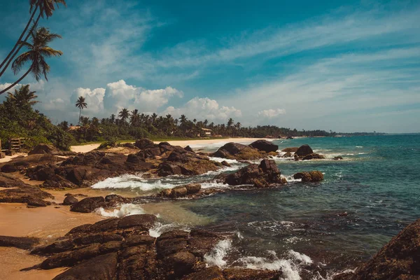 Côte De L'océan Indien avec des pierres et des cocotiers. Vacances tropicales, fond de vacances. Plage déserte sauvage. Paradis paysage idyllique. Concept de voyage. Sri Lanka écotourisme. Espace de copie — Photo