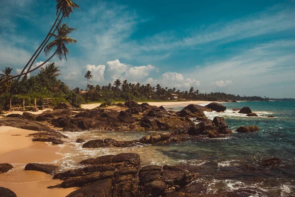 De kust van de Indische Oceaan met stenen en kokosnoot palmbomen. Tropische vakantie, vakantie achtergrond. Wilde verlaten strand. Paradise idyllische landschap. Travel concept. Sri Lanka ecotoerisme. Kopiëren van ruimte — Stockfoto