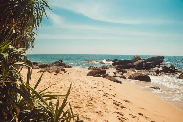 Costa dell'Oceano Indiano con pietre e alberi di pandano. Vacanza tropicale, sfondo vacanza. Deserto con le impronte sulla spiaggia. Paradiso idilliaco paesaggio. Concetto di viaggio. Sri Lanka turismo ecologico. Copia spazio — Foto Stock