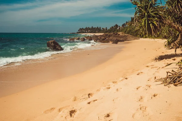 Côte de l'océan Indien avec des pierres et des pandanus. Vacances tropicales, fond de vacances. Plage déserte aux empreintes de sable. Paradis paysage idyllique. Concept de voyage. Sri Lanka écotourisme. Espace de copie — Photo