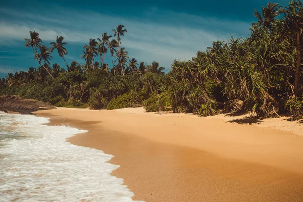 Ocean Coast con pandani e palme da cocco. Vacanza tropicale, sfondo vacanza. Selvaggia spiaggia deserta incontaminata. Paradiso idilliaco paesaggio. Concetto di viaggio. Sri Lanka turismo ecologico. Copia spazio — Foto Stock
