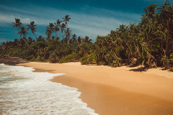 Ocean Coast con pandani e palme da cocco. Vacanza tropicale, giungla sullo sfondo. Selvaggia spiaggia deserta incontaminata. Paradiso idilliaco paesaggio. Concetto di viaggio. Sri Lanka turismo ecologico. Copia spazio — Foto Stock
