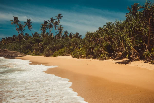 Ocean Coast com pandanus e coqueiros. Férias tropicais, selva no fundo. Praia selvagem deserta e intocada. Paraíso paisagem idílica. Conceito de viagem. Sri Lanka turismo ecológico. Espaço de cópia — Fotografia de Stock