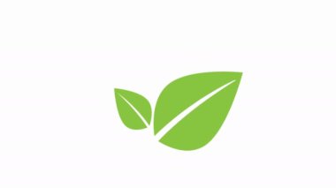 Animasyon yeşil yapraklar. Univesary tasarım için grafiksel element. Döngülü 4K hareket grafiği