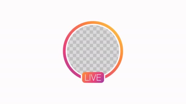 Animation Of Video Live Stream Close Up live estream animation social media story. 4k Video — стоковое видео