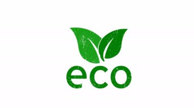 Ecology concept. Green leaf. Pollution problem. Environmental protection. Save the world. Zero waste. 4K video