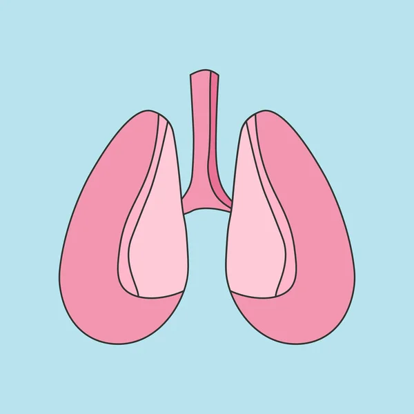 Human organ lungs flat icon, vector illustration — Stock Vector
