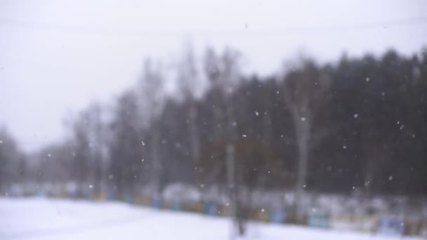 Sneeuw. Vallende sneeuwvlokken met selectieve aandacht. Winter ontwerpconcept. — Stockvideo