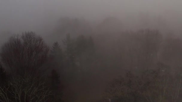 Vue aérienne anamorphique du matin brumeux entre les collines  