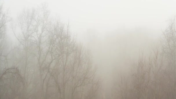 Anamorfica Veduta Aerea Della Mattina Nebbiosa Tra Colline — Video Stock