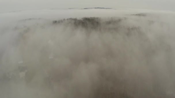 丘の間の霧の朝のアナモルフィック航空ビュー — ストック動画