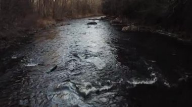 Orman boyunca akan nehrin anamorfik hava görüntüsü. 