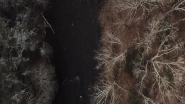 Nehrin aşağısındaki orman boyunca uzanan anamorfik hava manzarası. 