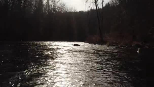 Anamorfe Luchtfoto Van Rivier Stroom Door Het Bos Close — Stockvideo