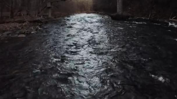 森の中の川の流れのアナモルフィック航空ビューを閉じる — ストック動画
