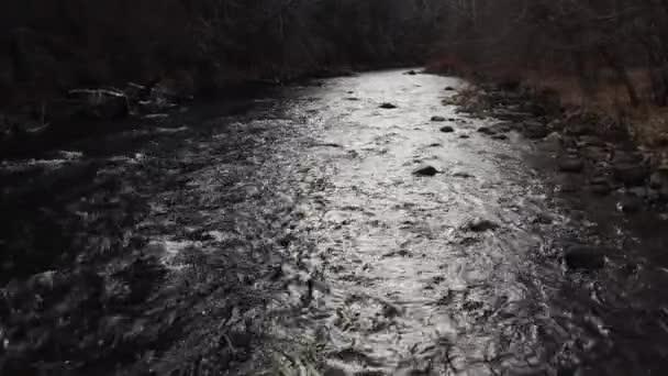 Anamorfe Luchtfoto Van Rivier Stroom Door Het Bos Close — Stockvideo