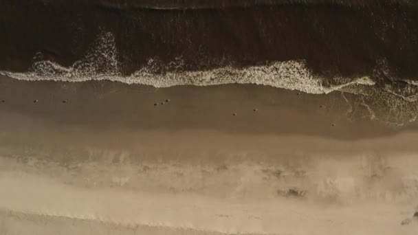 以纽约天际线为背景的沙滩长岛海滩的空中景观 — 图库视频影像