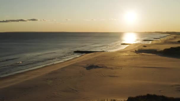 Aerial View Sandy Long Island Beach New York Skyline Background — Stock Video