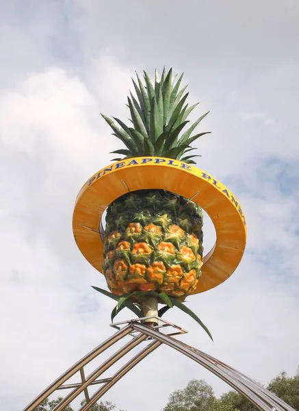 Replica van rijpe ananas fruit — Stockfoto