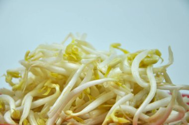 Beyaz arka plan üzerinde izole kırmızı yuvarlak tabak fasulye filizi. 