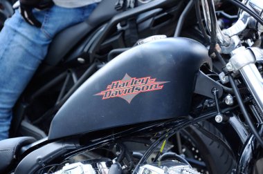 Çeşitli model Harley Davidson kolay binici motosiklet açık alanda otopark.