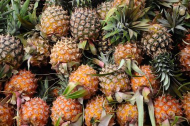 Olgun ananas meyve Pazar masanın üstüne kazık. 