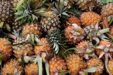 Olgun ananas meyve Pazar masanın üstüne kazık. 