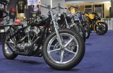 Özel Harley Davidson Motosiklet toplanması