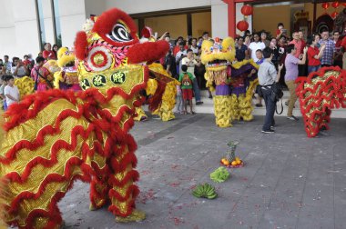Seremban, Malezya -2 Şubat 2017: Seremban, Malezya 'da düzenlenen Çin Yeni Yıl Festivali sırasında aslan dansı performansı. Geçmişten beri Çinlilerin geleneksel ve kültürel dansıydı.. 