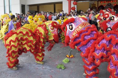 Seremban, Malezya -2 Şubat 2017: Seremban, Malezya 'da düzenlenen Çin Yeni Yıl Festivali sırasında aslan dansı performansı. Geçmişten beri Çinlilerin geleneksel ve kültürel dansıydı.. 