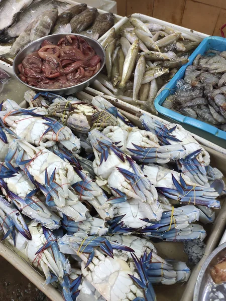 Kuala Lumpur Malaysia July 2019 Различные Виды Рыб Рыбном Рынке — стоковое фото