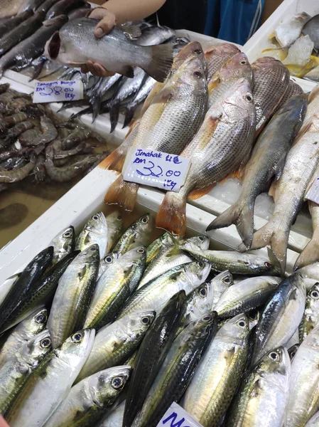 Kuala Lumpur Malaysia July 2019 Различные Виды Рыб Рыбном Рынке — стоковое фото
