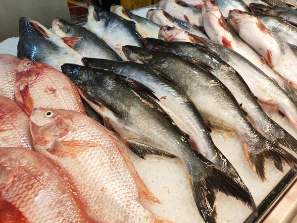 マレーシアのクアラルンプール 2019年7月16日 魚市場では様々な種類の魚が販売されています 魚種と価格のラベル — ストック写真