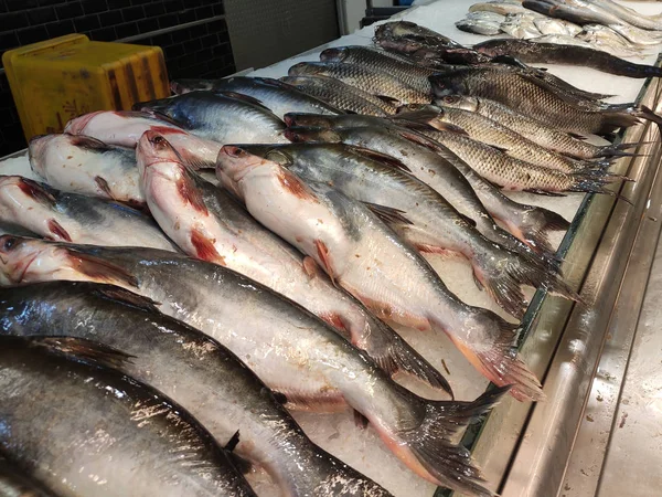 Kuala Lumpur Malaysia July 2019 Vários Tipos Peixes Mercado Peixe — Fotografia de Stock