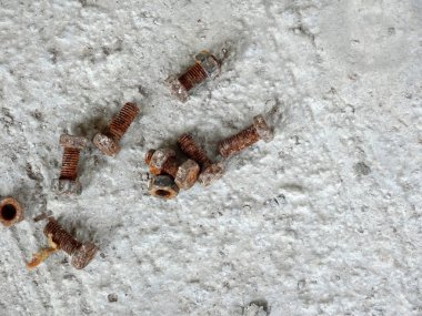 Paslı cıvata ve ceviz kirli beton zeminde. 