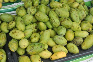 Raflarda yeşil ve sarı mango meyveleri sergileniyor. Mango çiftlikten taze ve yemeye hazır.. 