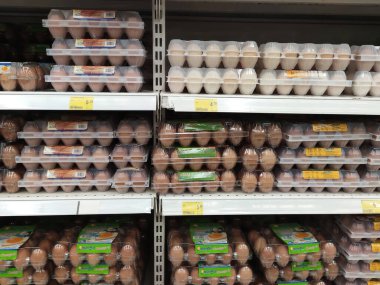 SEREMBAN, MALAYSIA - 7 Mart 2020: Bir süpermarkette satılmak üzere palet kabında taze tavuk yumurtaları. Seviye ve boyuta göre sırala.