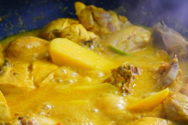 Malezyalı geleneksel aşçı Ayam Masak Lemak Chili Padi. Su, hindistan cevizi sütü, biberli zerdeçal ve su karışımı ile pişirilmiş tavuk..